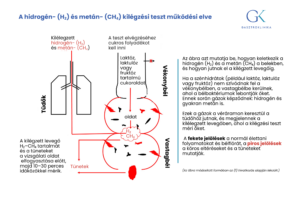 a kilélegzett levegő hidrogén (h2) és a metán (ch4) tartalma miért jobb a kombinaált teszt