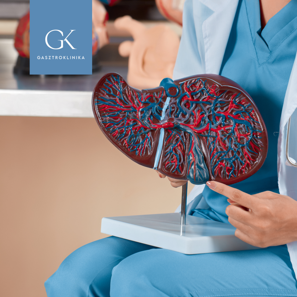 mit jelent a zsirmaj mennyire veszelyes